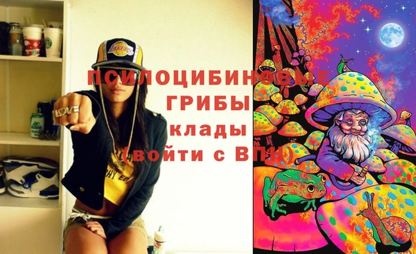 мдпв Кинешма