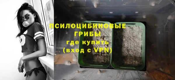 крисы Костерёво