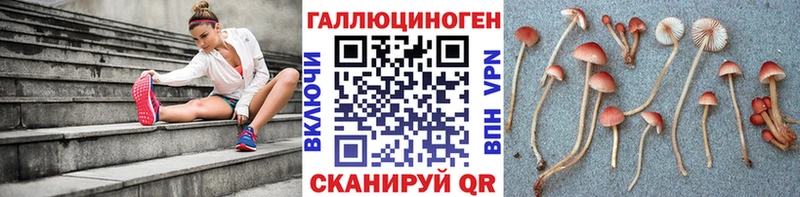 Галлюциногенные грибы мицелий  Мелеуз 